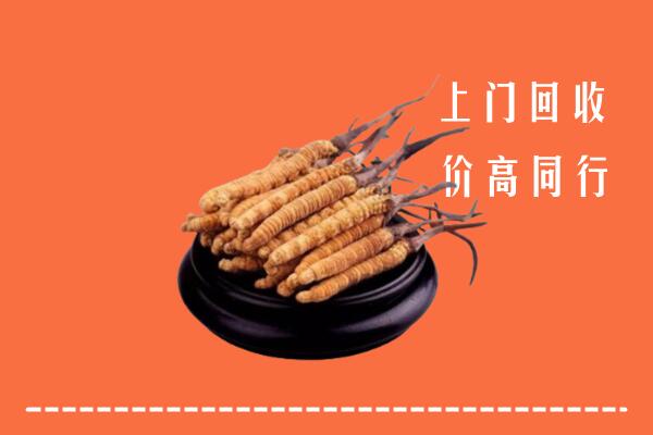 高价求购：沧州回收散虫草