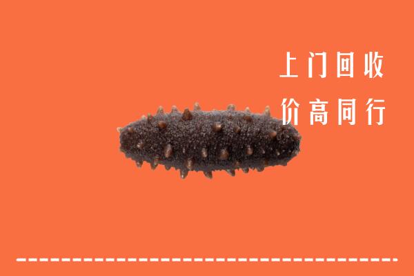 高价求购：沧州回收海参