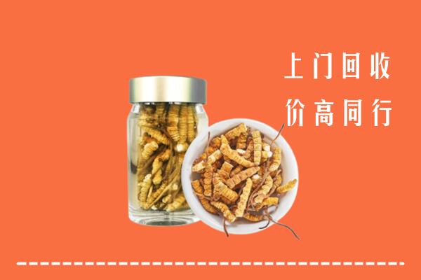 沧州高价回收冬虫夏草